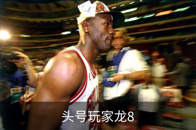 头号玩家龙8公司简介配图
